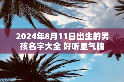 2025年8月11日出生的男孩名字大全 好听显气魄
