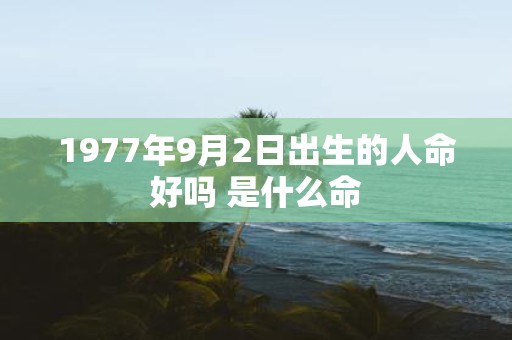 1977年9月2日出生的人命好吗 是什么命