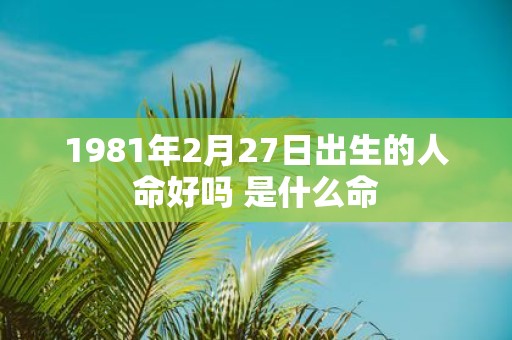 1981年2月27日出生的人命好吗 是什么命