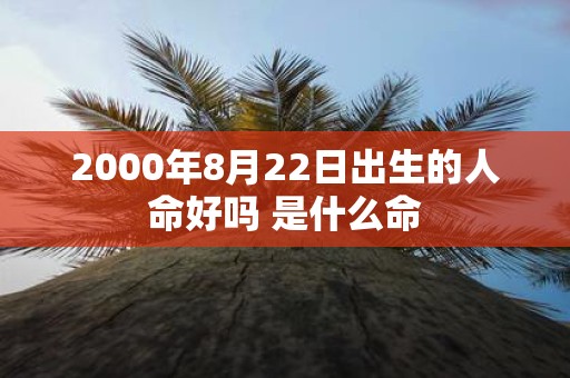 2000年8月22日出生的人命好吗 是什么命