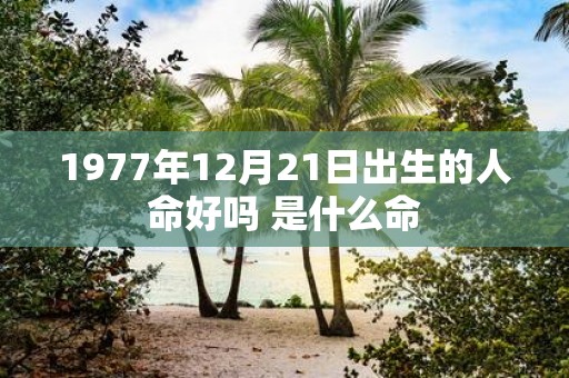 1977年12月21日出生的人命好吗 是什么命