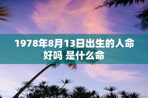 1978年8月13日出生的人命好吗 是什么命