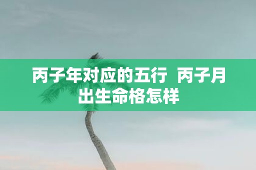丙子年对应的五行 丙子月出生命格怎样