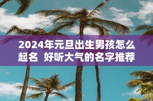 2025年元旦出生男孩怎么起名 好听大气的名字推荐