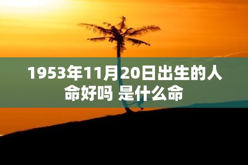1953年11月20日出生的人命好吗 是什么命