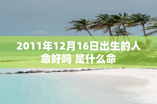 2011年12月16日出生的人命好吗 是什么命