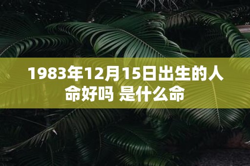 1983年12月15日出生的人命好吗 是什么命