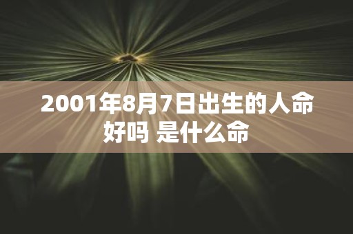 2001年8月7日出生的人命好吗 是什么命