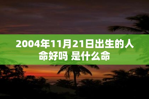 2004年11月21日出生的人命好吗 是什么命