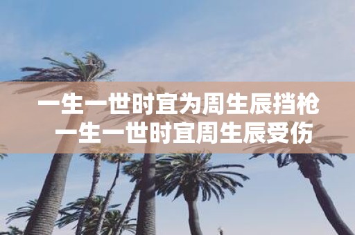 一生一世时宜为周生辰挡枪 一生一世时宜周生辰受伤