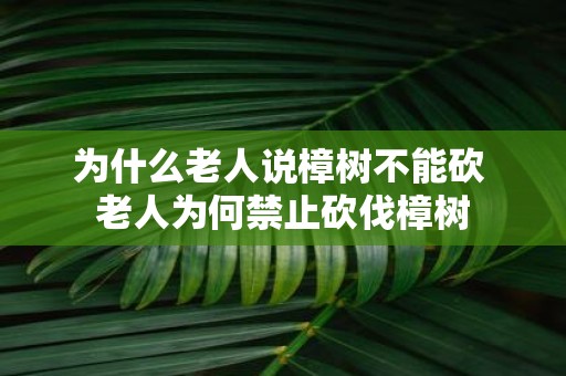 为什么老人说樟树不能砍 老人为何禁止砍伐樟树