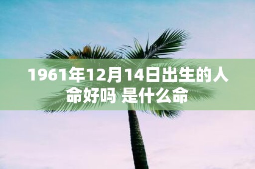 1961年12月14日出生的人命好吗 是什么命
