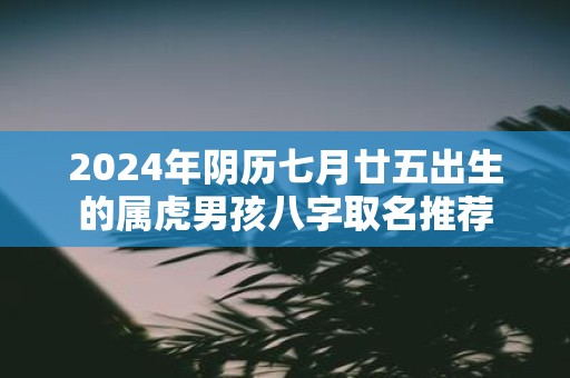 2025年阴历七月廿五出生的属虎男孩八字取名推荐
