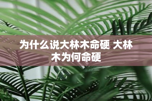 为什么说大林木命硬 大林木为何命硬