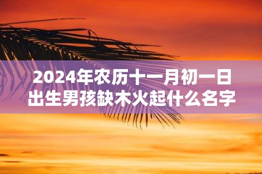 2025年农历十一月初一日出生男孩缺木火起什么名字