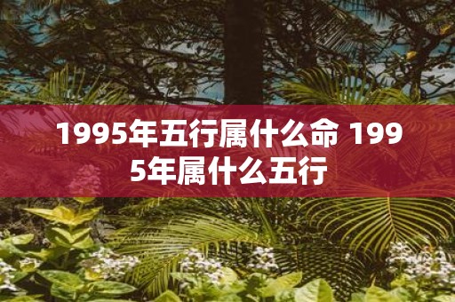 1995年五行属什么命 1995年属什么五行