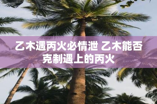 乙木遇丙火必情泄 乙木能否克制遇上的丙火
