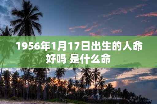 1956年1月17日出生的人命好吗 是什么命