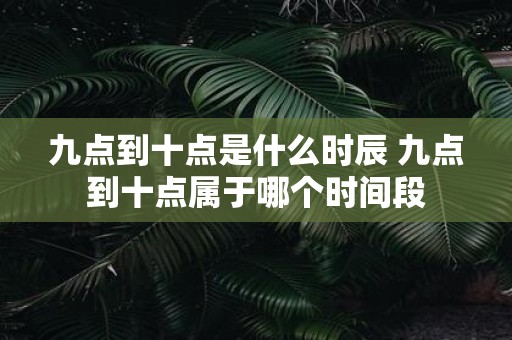 九点到十点是什么时辰 九点到十点属于哪个时间段