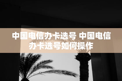 中国电信办卡选号 中国电信办卡选号如何操作