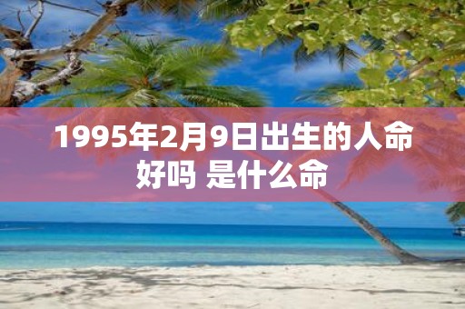 1995年2月9日出生的人命好吗 是什么命