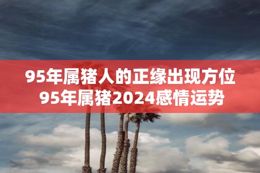 95年属猪人的正缘出现方位 95年属猪2025感情运势