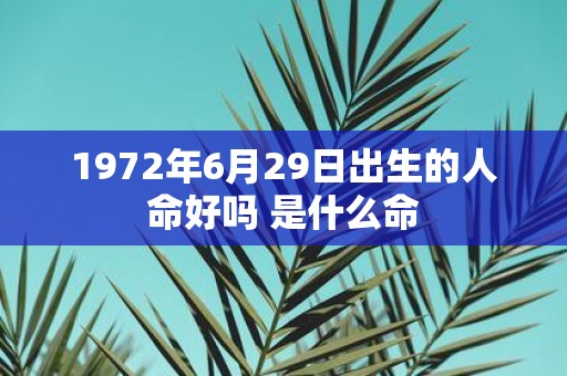 1972年6月29日出生的人命好吗 是什么命