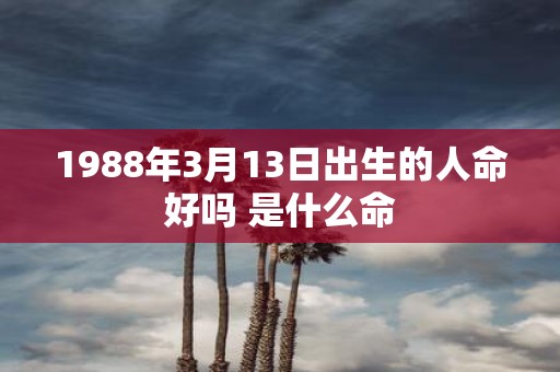 1988年3月13日出生的人命好吗 是什么命