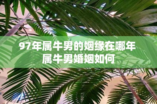 97年属牛男的姻缘在哪年 属牛男婚姻如何