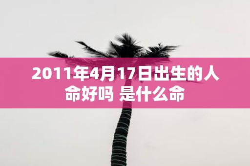 2011年4月17日出生的人命好吗 是什么命