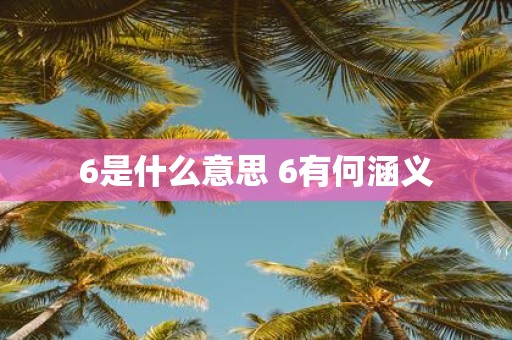 6是什么意思 6有何涵义
