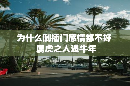 为什么倒插门感情都不好 属虎之人遇牛年