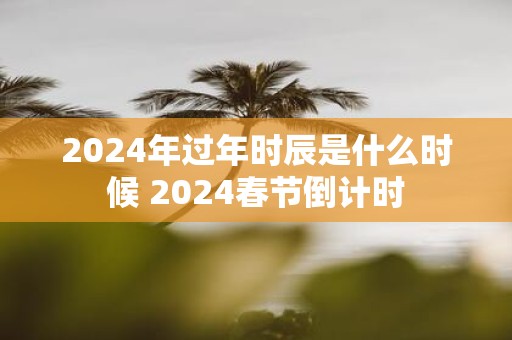 2025年过年时辰是什么时候 2025春节倒计时