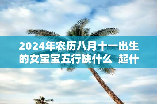 2025年农历八月十一出生的女宝宝五行缺什么 起什么名字好