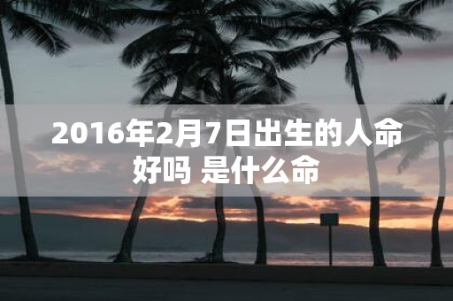 2016年2月7日出生的人命好吗 是什么命