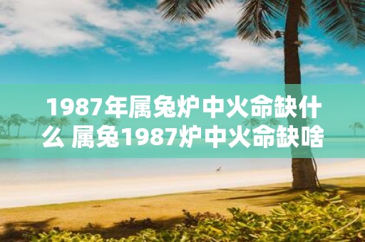 1987年属兔炉中火命缺什么 属兔1987炉中火命缺啥