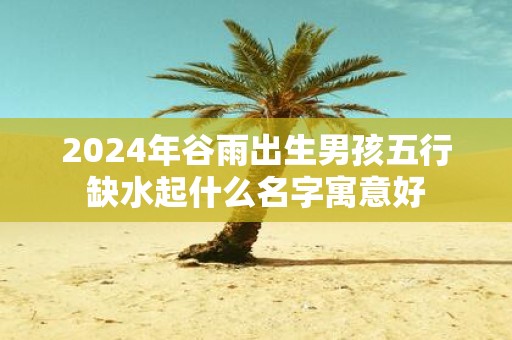 2025年谷雨出生男孩五行缺水起什么名字寓意好