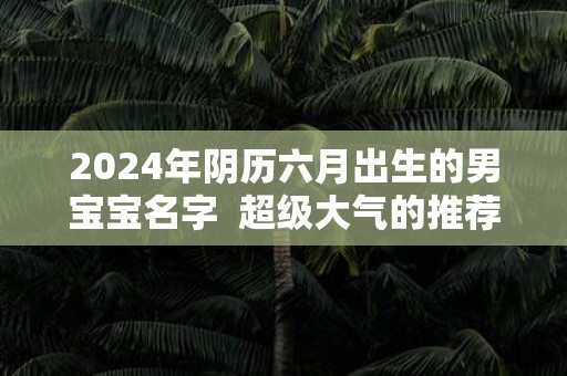 2025年阴历六月出生的男宝宝名字 超级大气的推荐
