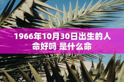 1966年10月30日出生的人命好吗 是什么命