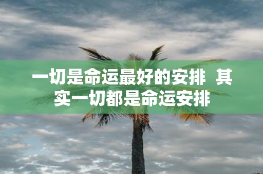 一切是命运最好的安排 其实一切都是命运安排