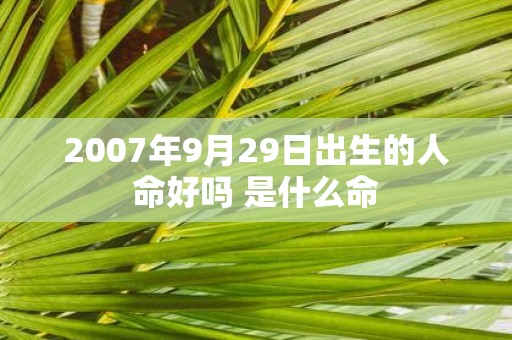 2007年9月29日出生的人命好吗 是什么命