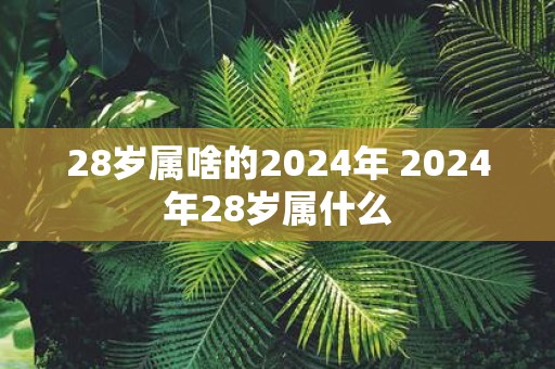 28岁属啥的2025年 2025年28岁属什么