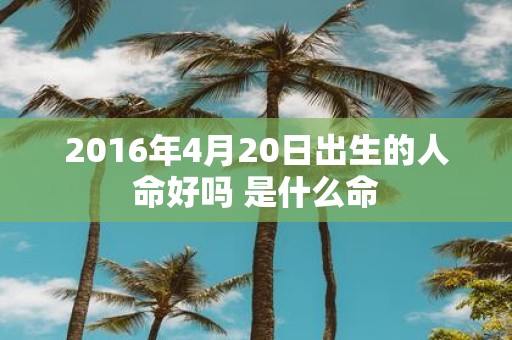 2016年4月20日出生的人命好吗 是什么命