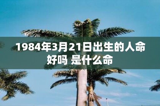1984年3月21日出生的人命好吗 是什么命