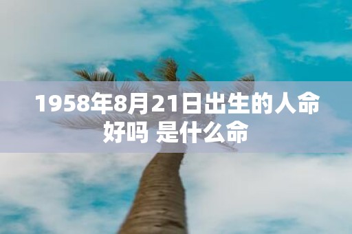 1958年8月21日出生的人命好吗 是什么命
