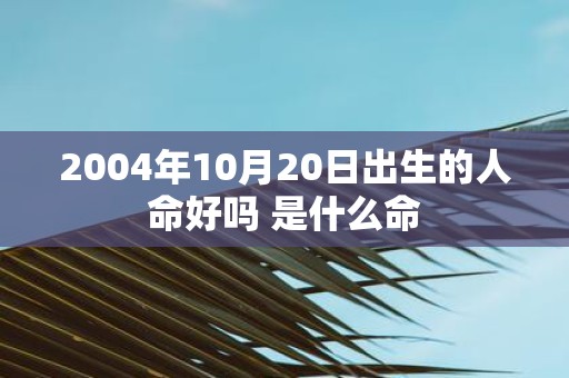 2004年10月20日出生的人命好吗 是什么命