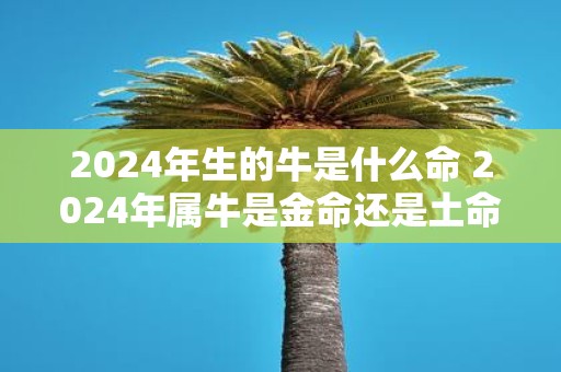 2025年生的牛是什么命 2025年属牛是金命还是土命