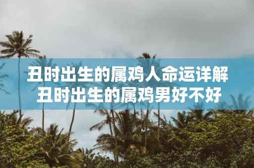 丑时出生的属鸡人命运详解 丑时出生的属鸡男好不好