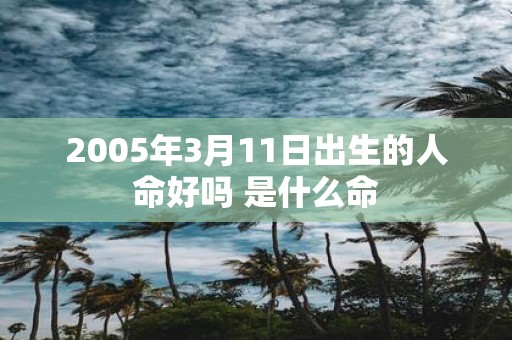 2005年3月11日出生的人命好吗 是什么命