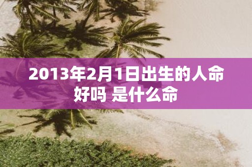 2013年2月1日出生的人命好吗 是什么命